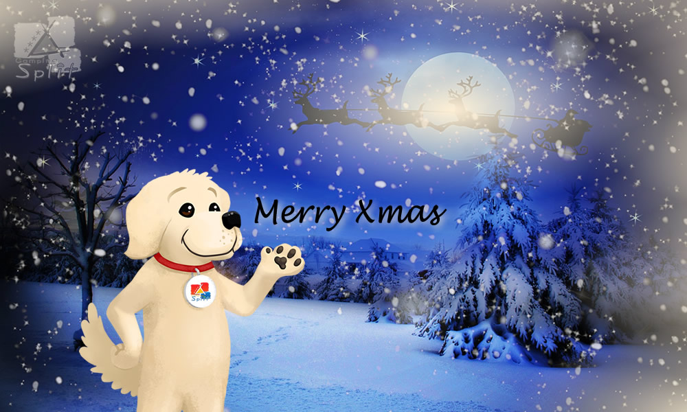 Merry Christmas & Happy New Year  ❄ ❄ ❄