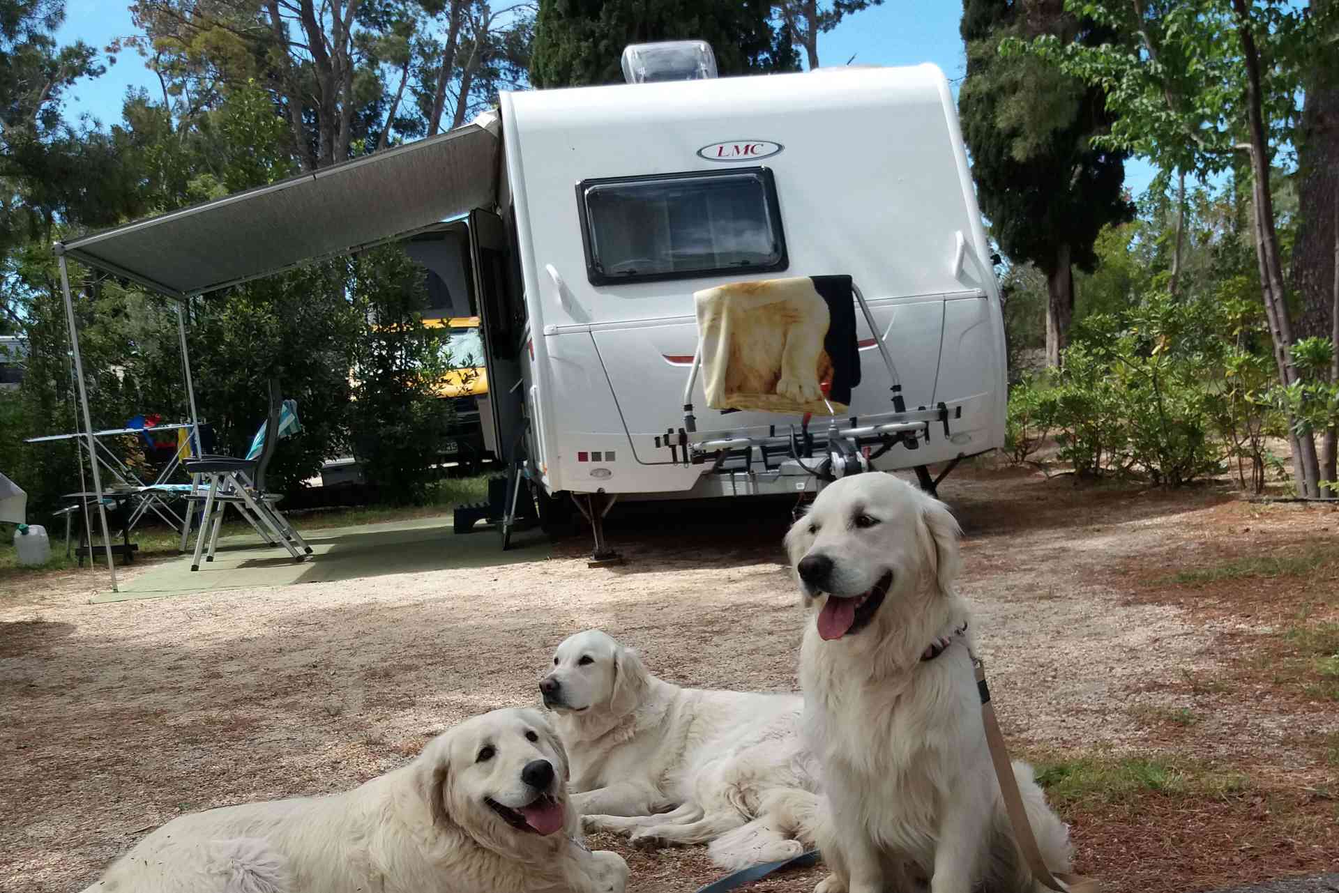 Emplacements de camping