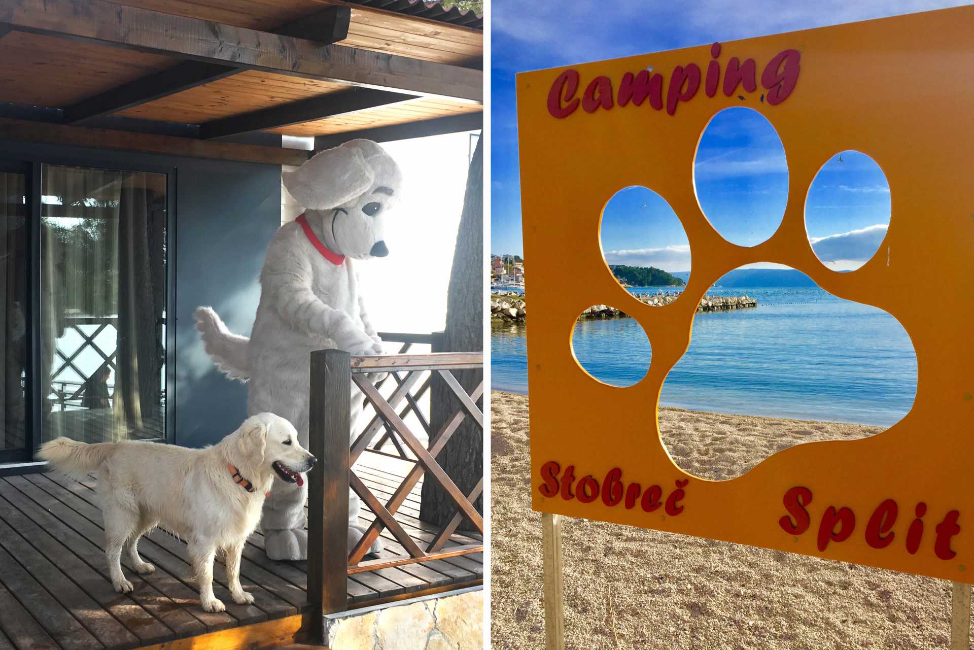 Pet friendly campsite - Camping Stobreč Split