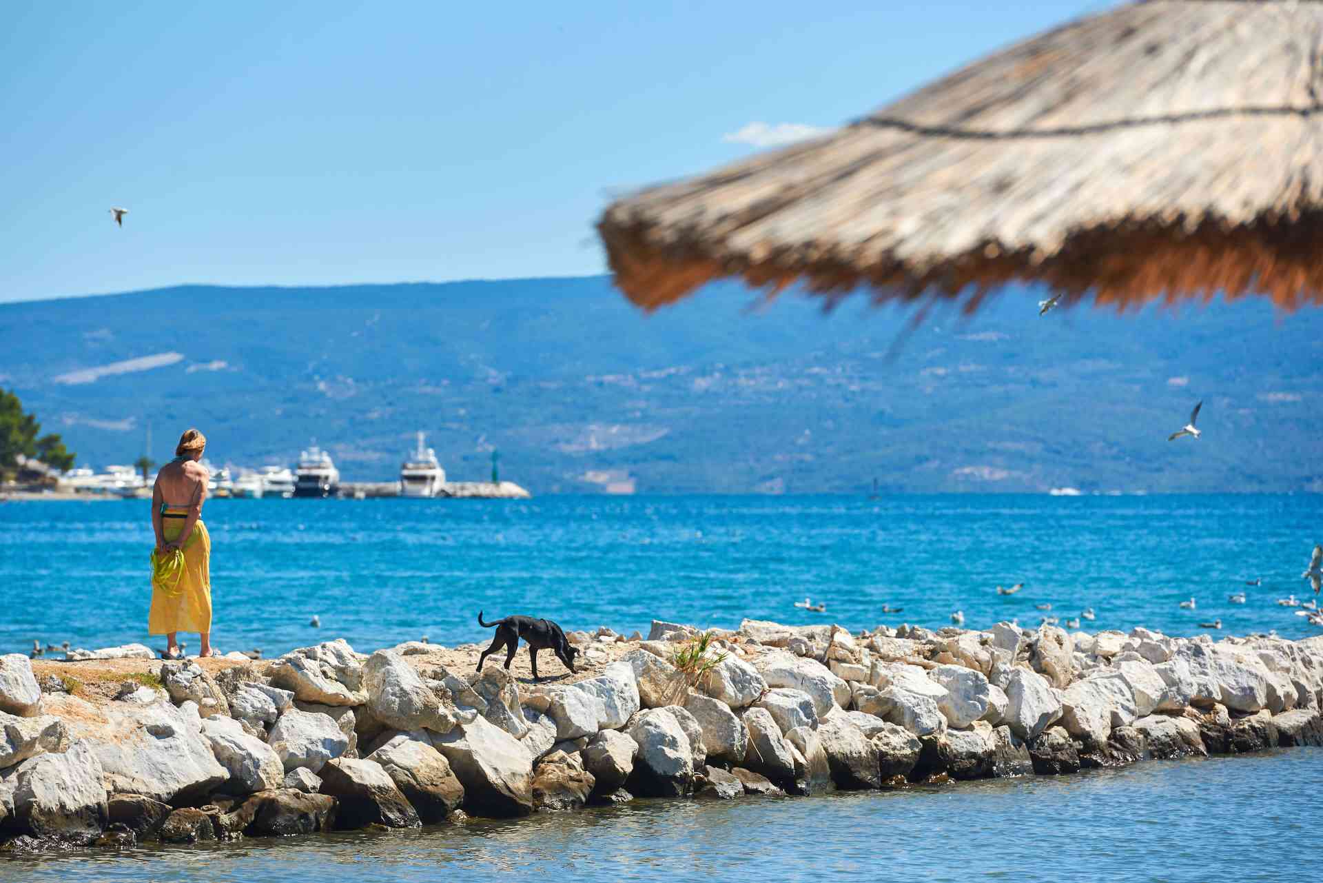 Pet friendly campsite - Camping Stobreč Split